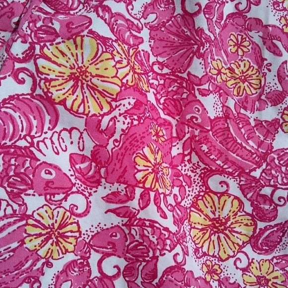 Lilly Pulitzer Straight Leg Pants in Chum Chum - Picture 3 of 3